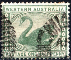 WESTERN AUSTRALIA, FAUNA, UCCELLI, BIRDS, CIGNO NERO, 1885, ½ P., USATO Mi:AU-WA 30, Scott:AU-WA 58, Yt:AU-WA 42 - Gebruikt