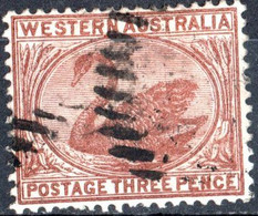 WESTERN AUSTRALIA, FAUNA, UCCELLI, BIRDS, CIGNO NERO, 1885, 3 P., USATO Mi:AU-WA 25C, Scott:AU-WA 53, Yt:AU-WA 34 - Used Stamps