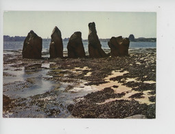 Cromiech Cromiec'h D'Erlannic 49 Menhirs Visibles (second Complètement Immergé) Golfe Morbihan Cp Vierge - Dolmen & Menhirs