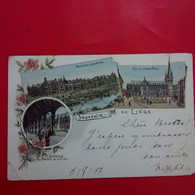 SOUVENIR DE LIEGE LITHOGRAPHIE - Liège