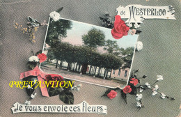 Je Vous Envoie Ces Fleurs De WESTERLOO - Carte Colorée Et Circulé En 1908 - Westerlo