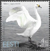 ESTONIA, 2007, MNH, BIRDS, SWANS, 1v - Schwäne