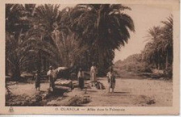 OUARGLA 13  ALLEE DANS LA PALMRAIE - Ouargla