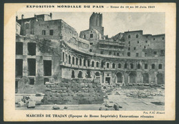 ROMA Vintage Postcard Rome Italy - Exhibitions