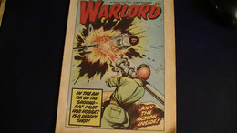 WARLORD    N°349      1981  FORMAT 21 X 30    32 PAGES - Cómics Británicos