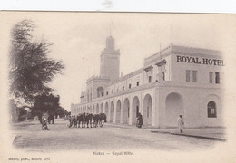 (206) CPA  Biskra  Royal Hôtel - Biskra