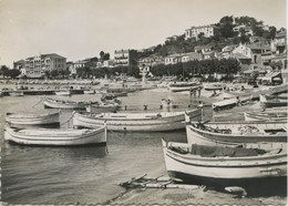 Le Lavandou - Tbé - Belle Carte Dentelée ANIMÉE - Format 10x15cm -  Ed. C.Lemaire N°1270 - Le Lavandou