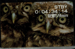 NETHERLANDS 2004 PHONECARD OWLS USED VF!! - Eulenvögel