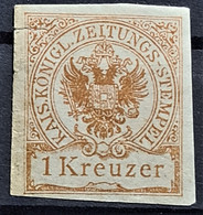 AUSTRIA 1890 - MLH - ANK 7 - Zeitungsstempelmarke 1kr - Journaux