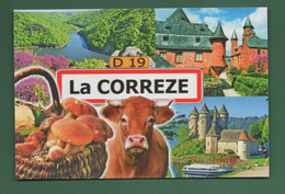 19 La Corrèze ( Cèpes Vaches Collonges La Rouge Multivues Champignons Cèpes, Funghi, Grzyby, Pilze, Hongos, Mushrooms ) - Otros & Sin Clasificación