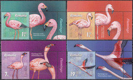 2021, Romania, Flamingos, Animals, Birds, 4 Stamps+Label, MNH(**), LPMP 2336 - Ungebraucht