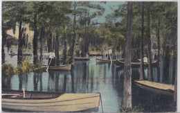 Boating In The Lake At Greenfield Park Near Wilmington North Carolina Vintage Postcard 1915 - Wilmington