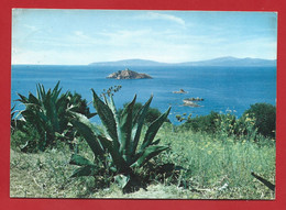 CARTOLINA VG ITALIA - PUNTA ALA - Panorama E Isole Porcellini - 10 X 15 - 1968 - Grosseto