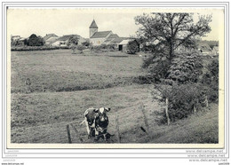 NAOME ..--  Le Village . 1963 Vers ATHUS ( Mr R. COLLIGNON ) . Voir Verso . - Paliseul