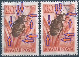 C2381b Hungary 1954 Fauna Bug Beetle Used ERROR - Varietà & Curiosità