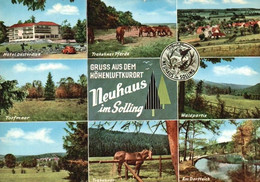AK -  Neuhaus Im Solling , Dorfteich , Waldpartie - Holzminden
