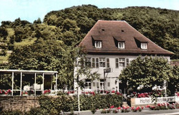 AK -  Eberbach Neckar , Hotel Pension Grüner Baum - Eberbach