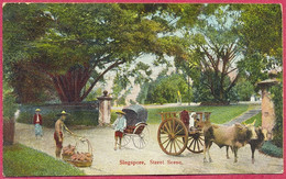Street Scene Singapore, Wilson & Co_TB CPA Vintage_(n°PCard281) - Singapore