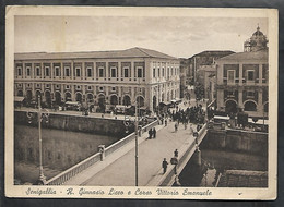 P1480  - SENIGALLIA  - R. GINNASIO LICEO E CORSO VITTORIO EMANUELE - Senigallia