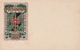 2144 - REGNO - Carte Postale Del 29° Reggimento Di Fanteria Del 1913 Da Bogliaco (BS) A Udine - Other