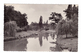 4780 LIPPSTADT, Im Grünen Winkel, 1961 - Lippstadt