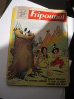 FRIPOUNET 1966        N°  43 - Fripounet