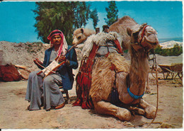 Jordan Postcard Sent To Germany 3-8-1977 (Native Playing The Rebec) - Jordanie