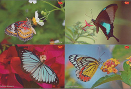 2016 Rare Complete Set Of 48 Different Butterfly India Post Official Postcard Butterflies Post Card - Papillons