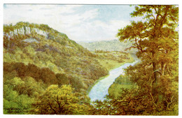 Ref 1497 - J. Salmon ARQ A.R. Quinton Postcard - The Wyndcliff Nr Chepstow - Monmouth Wales - Monmouthshire