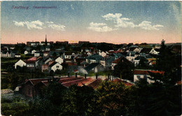 CPA AK SARREBOURG - SAARBURG I. L. - Gesamtansicht - Vue (387665) - Sarrebourg