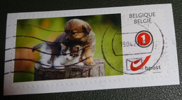 België - Michel - 4229 D  - 2019 - Gebruikt - Onafgeweekt - Used On Paper  - Hondjes En Katjes - Hond - Kat - Poes - Oblitérés