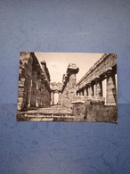 Italia-campania-paestum-interno Del Tempio Di Nettuno-fg-1966 - Autres Villes