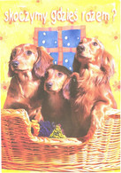 Dogs In Basket - Hunde