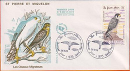 FDC # St.Pierre & Miquelon-1997 (N° PA 76)Oiseaux Migateurs,Zugvogel,Migratory Birds,Faucon,Wanderfalke,Peregrine Falcon - FDC