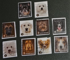 België - Michel - 4429 T/m 4438 - 2014 - Gebruikt - Onafgeweekt - Used On Paper  - Honden Naderbij - Complete Serie - Used Stamps