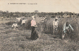 ***  AGRICULTURE *** SCENES DU CENTRE  La Coupe Du Blé - TTBE - Cultivation