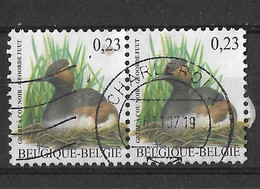 Paire Du N° 3546°. - 1985-.. Birds (Buzin)