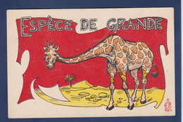 CPA Girafe Position Humaine Non Circulé - Girafes