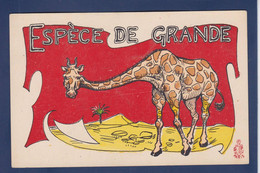 CPA Girafe Position Humaine Non Circulé - Jirafas