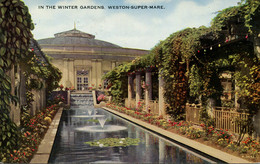 AVON - WESTON SUPER MARE - IN THE WINTER GARDENS Av611 - Weston-Super-Mare