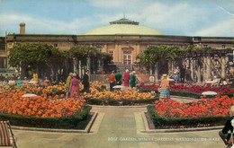 AVON - WESTON SUPER MARE - ROSE GARDEN WINTER GARDENS Av616 - Weston-Super-Mare