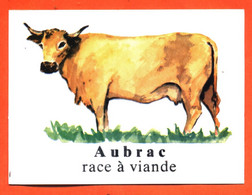 Autocollant Sticker Vache Aubrac Race à Viande - Aufkleber