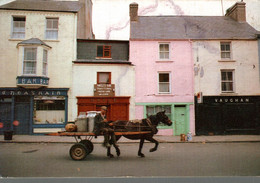 IRLANDE CLARE  ON THE WAY TO THE CREAMERY IN ENNISTYMON - Clare