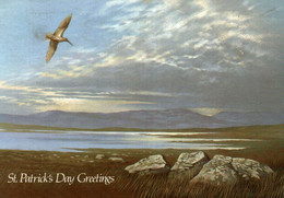 ST PATRICK'S DAY GREETINGS - LANDSCAPE AN EXAMPLE OF THE UNSPOILT BEAUTY STILL EXISTING IN IRELAND - Saint-Patrick