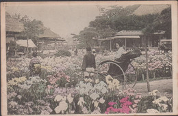 1900. JAPAN. CARTE POSTALE To Leipzig Cancelled YOKOHAMA And At Arrival L. 13 22 4. Motive: La... (Michel 79) - JF425770 - Briefe U. Dokumente