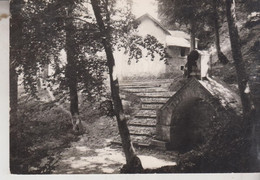 S. PIETRO AVELLANA  CAMPOBASSO  FONTANA DI S. AMICO NEL BOSCO OMONIMO 1956 - Campobasso