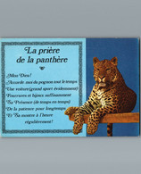 La Prière De La Panthère - Humour - Parc Zoologique Des Condeminals à Romanèche Thorins - 71  - - Sonstige