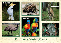 (2 B 6) Australia - Native Fauna - Canberra (ACT)