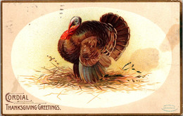 Thanksgiving Greetings With Turkey 1907 Clapsaddle - Thanksgiving