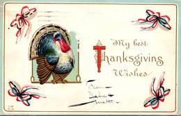 Thanksgiving Greetings With Turkey 1914 - Thanksgiving
